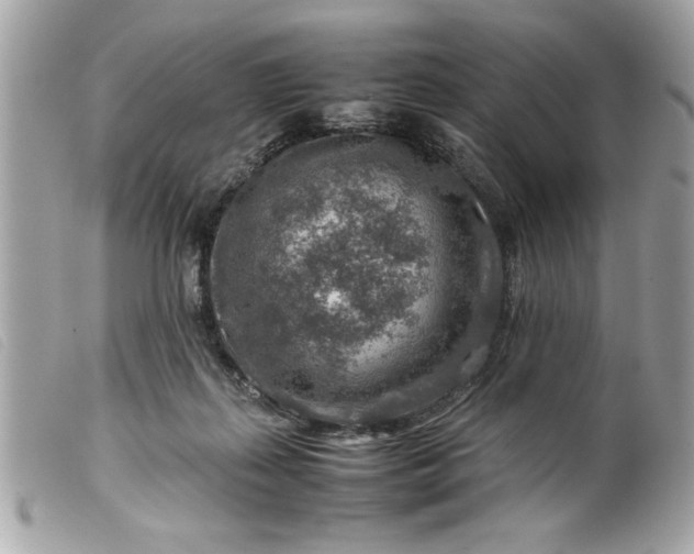 X0000099530267200805301446