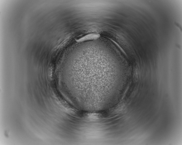 X0000099530268200805301446