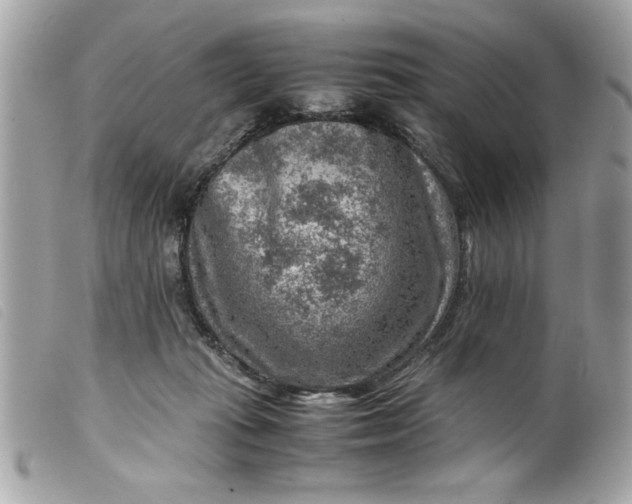 X0000099530269200805301446