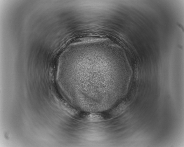 X0000099530270200805301446