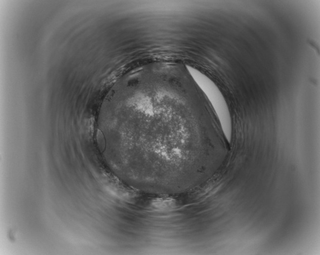 X0000099530271200805301446