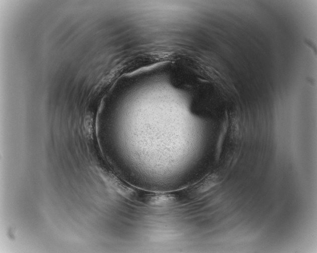 X0000099530274200805301446