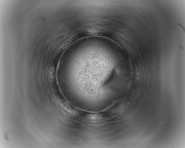 X0000099530275200805301446