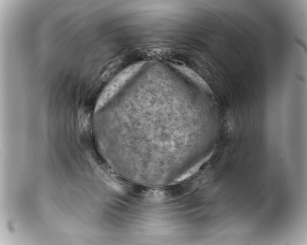 X0000099530276200805301446