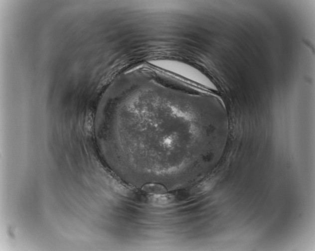 X0000099530277200805301446