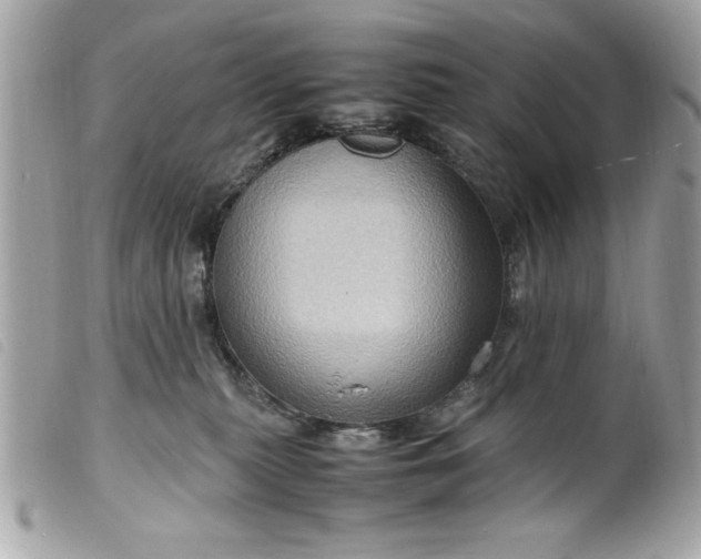 X0000099530279200805301446