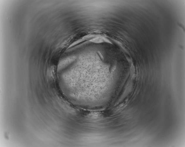 X0000099530280200805301446