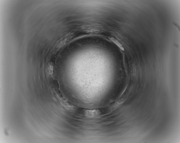 X0000099530281200805301446