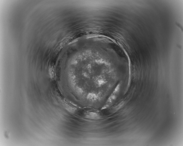 X0000099530285200805301446