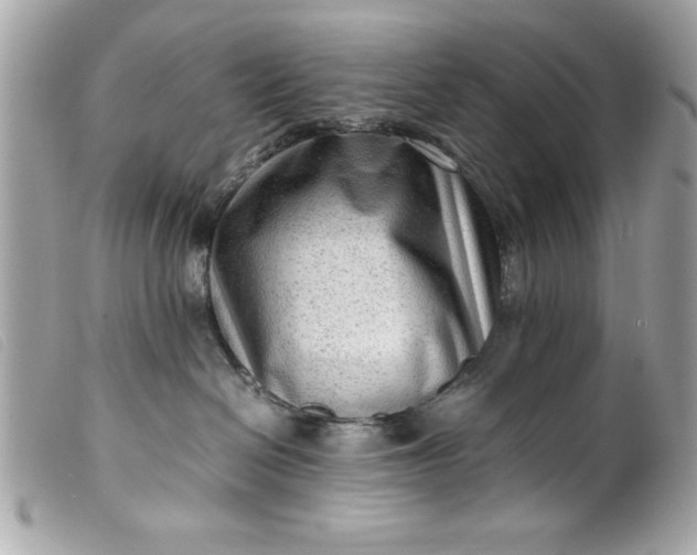 X0000099530286200805301446