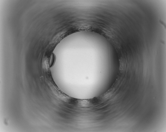 X0000099530287200805301446