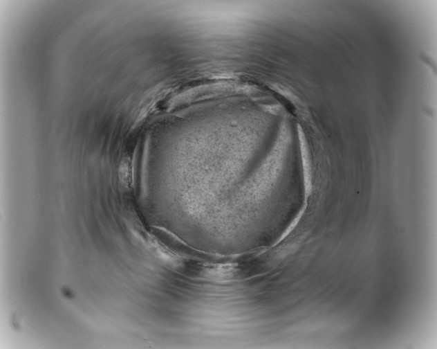 X0000099530288200805301446