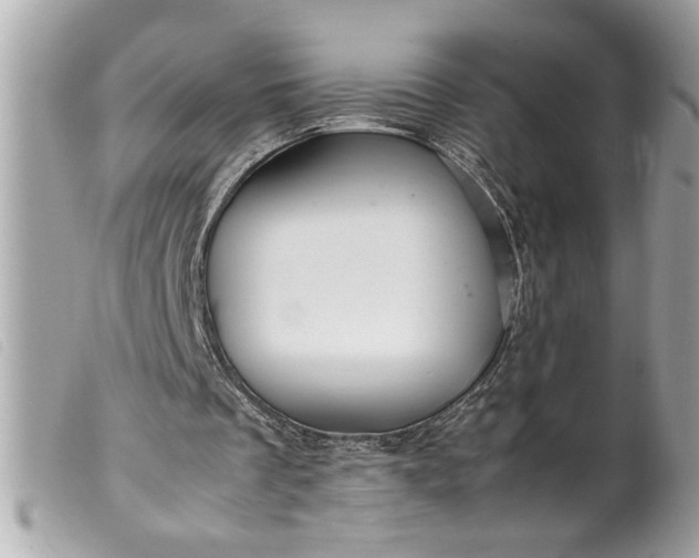 X0000099530289200805301446