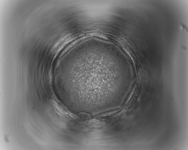 X0000099530290200805301446