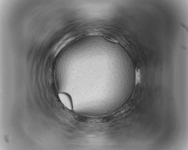 X0000099530291200805301445