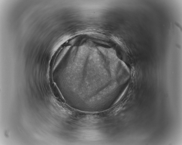 X0000099530292200805301445