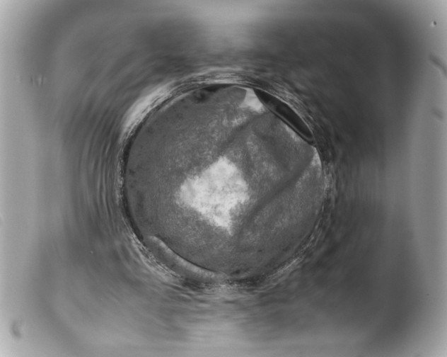 X0000099530293200805301445