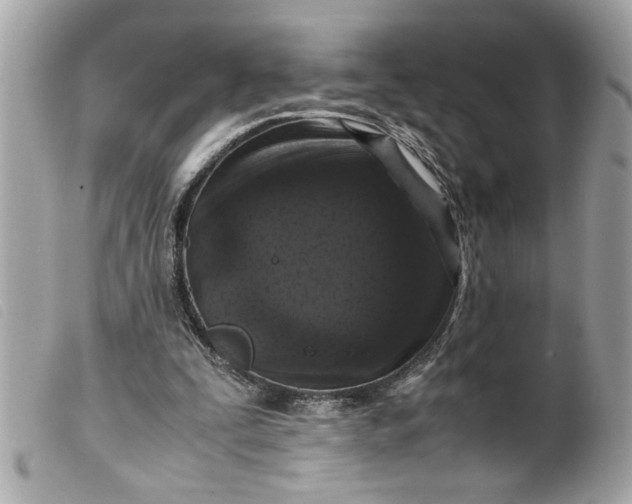 X0000099530295200805301445