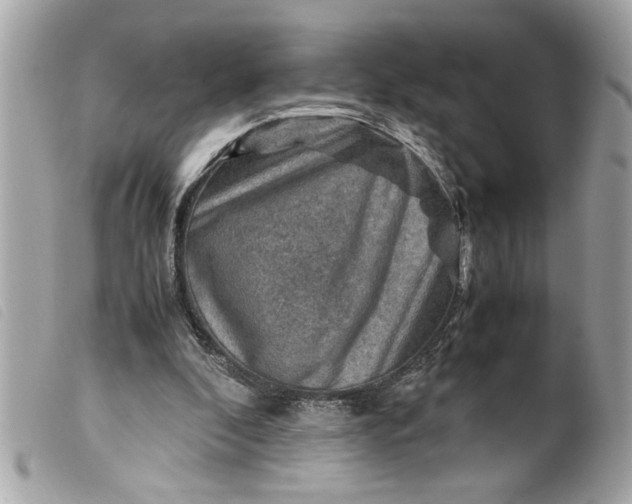 X0000099530296200805301445