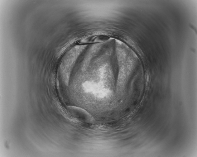 X0000099530297200805301445