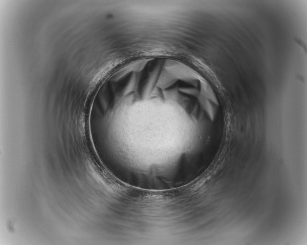 X0000099530298200805301445