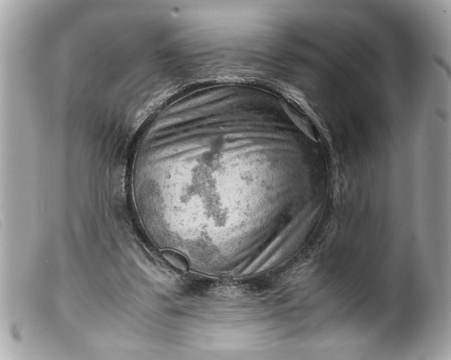 X0000099530299200805301445