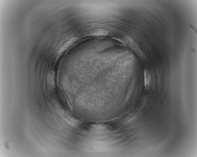 X0000099530300200805301445