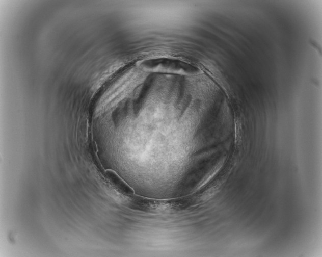 X0000099530301200805301445