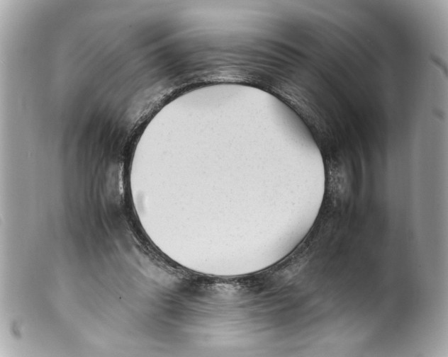 X0000099530302200805301445