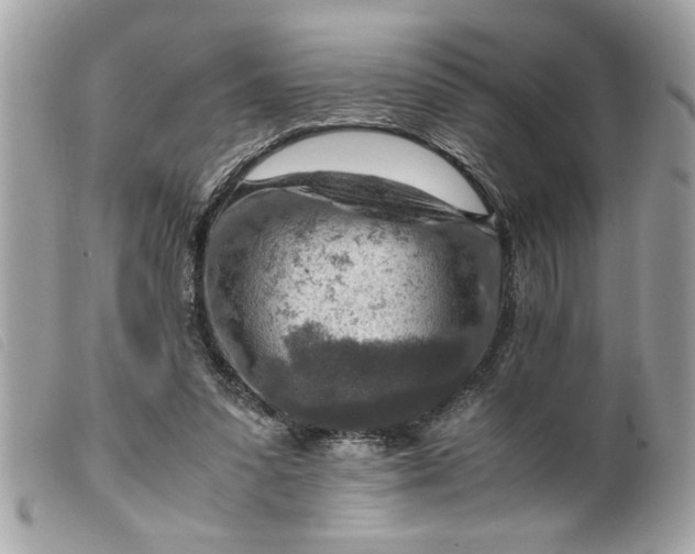 X0000099530303200805301445