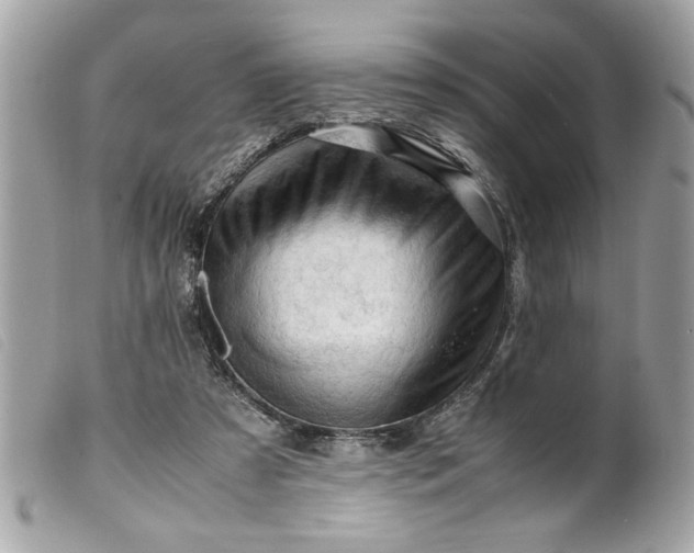 X0000099530305200805301445