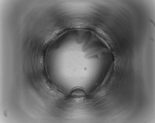 X0000099530306200805301445