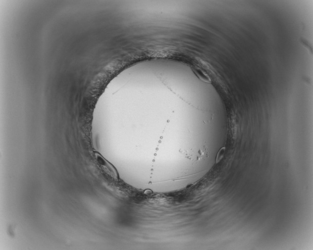 X0000099530307200805301445