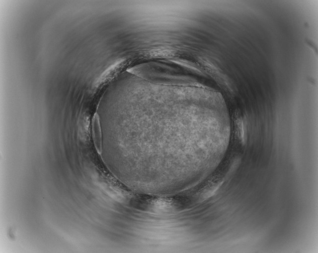 X0000099530308200805301445