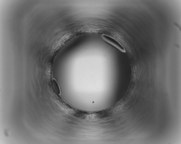 X0000099530309200805301445