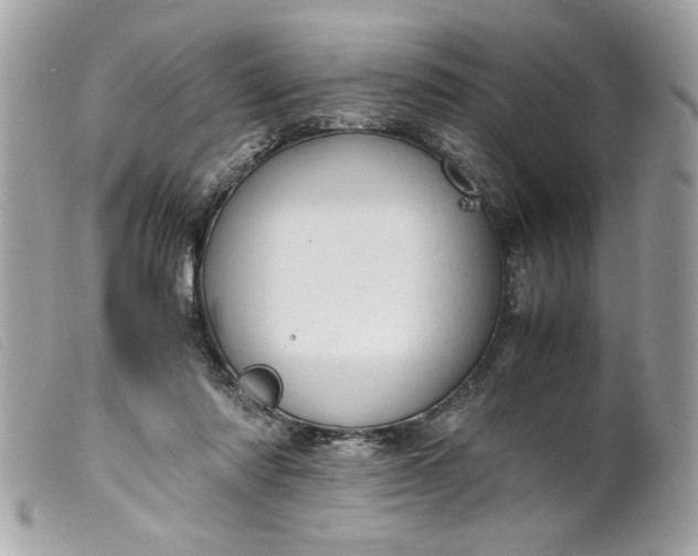 X0000099530310200805301445