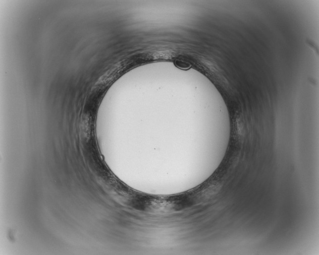 X0000099530311200805301445