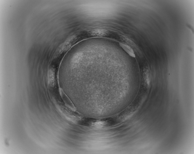 X0000099530312200805301445