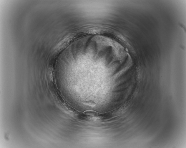 X0000099530313200805301445