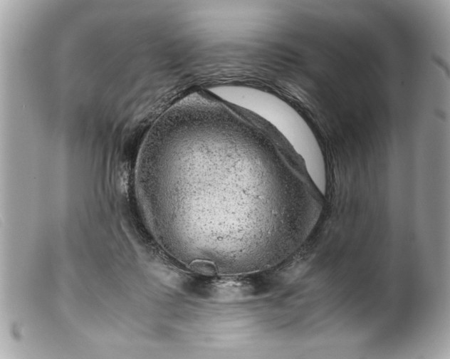 X0000099530315200805301445