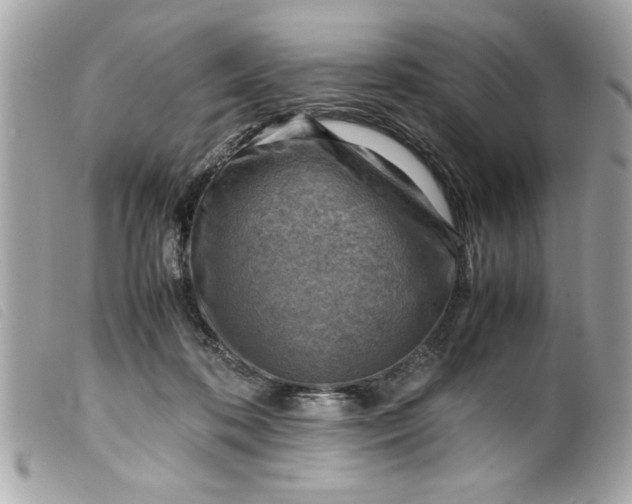 X0000099530316200805301445