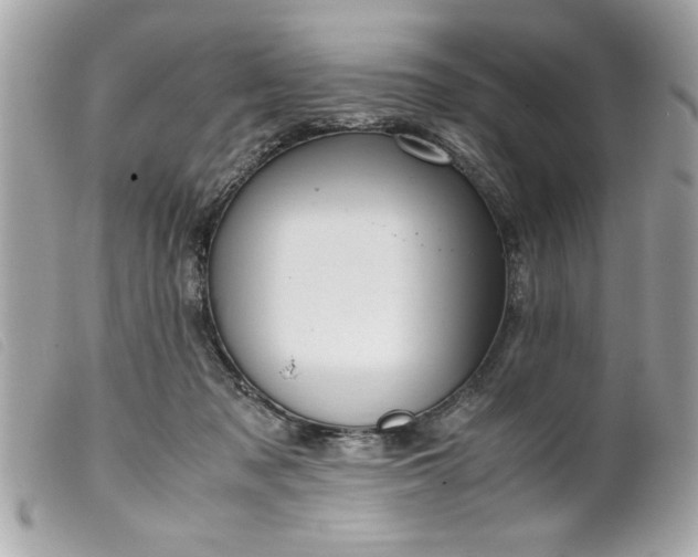 X0000099530317200805301445