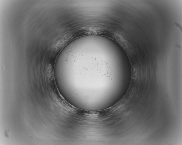 X0000099530318200805301445