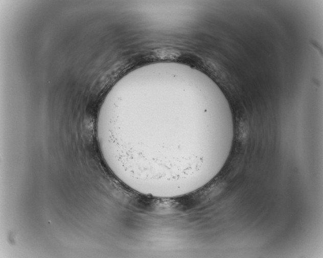 X0000099530321200805301445