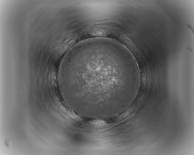 X0000099530322200805301445