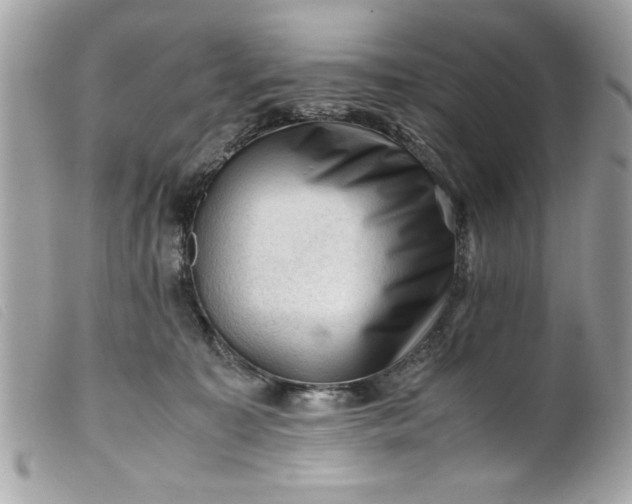 X0000099530323200805301445