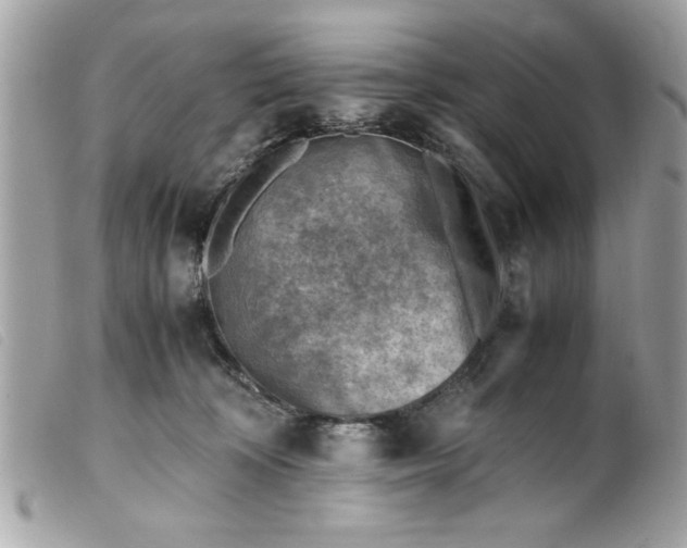 X0000099530324200805301445