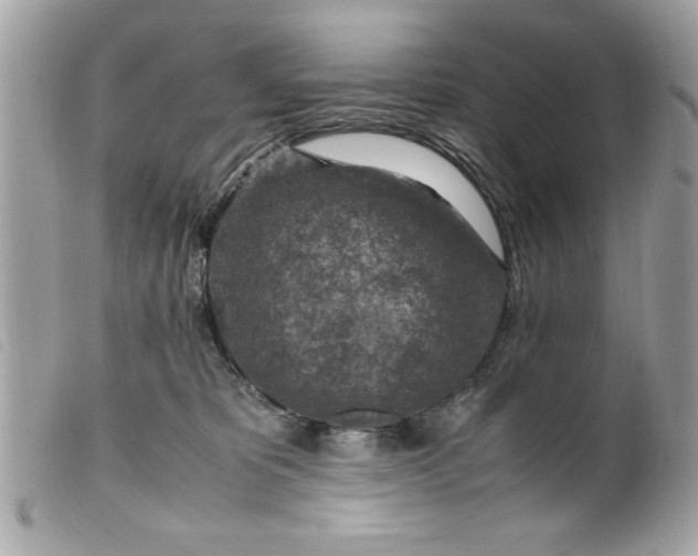 X0000099530325200805301445