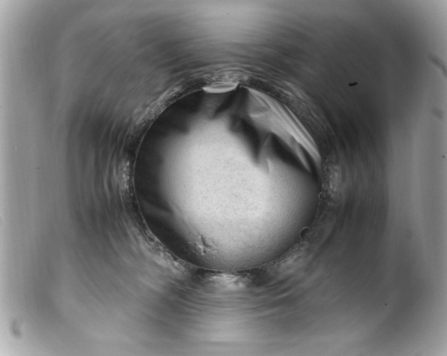 X0000099530326200805301445