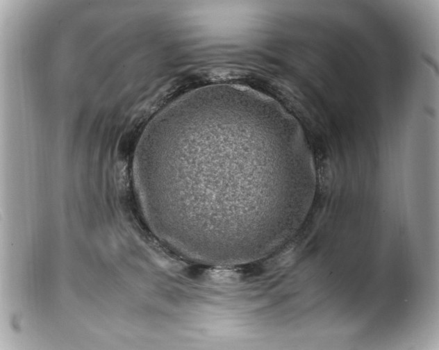 X0000099530327200805301445